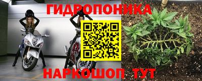 крисы Ирбит