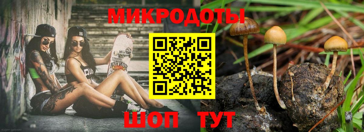 Галлюциногенные грибы Magic Shrooms  Вход с VPN  Псилоцибиновые грибы прущие грибы  Ишим 