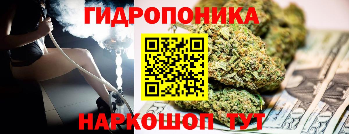 Бошки марихуана Bruce Banner  Марихуана марихуана  Ишим  Вход с VPN  Каннабис тримм 